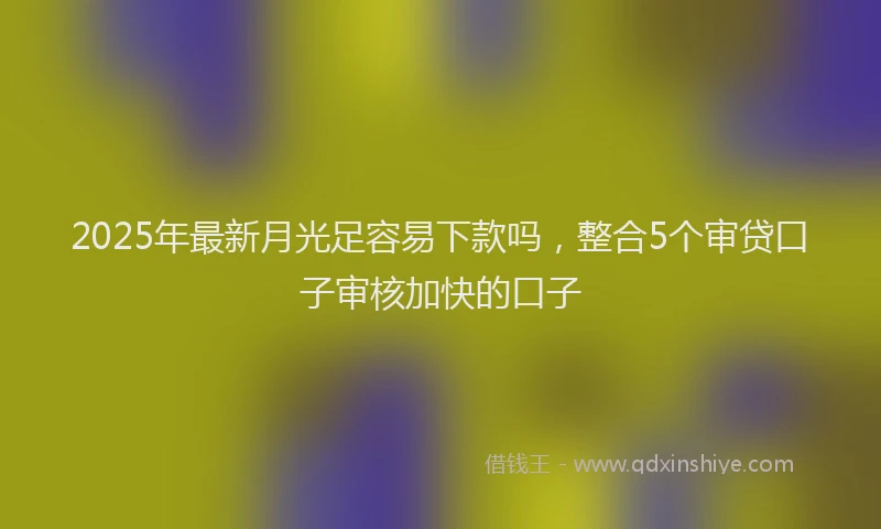 2025年最新月光足容易下款吗，整合5个审贷口子审核加快的口子