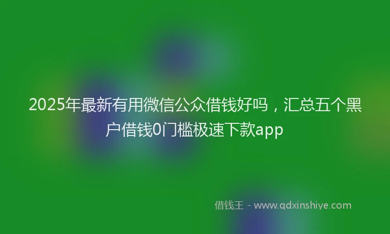 2025年最新有用微信公众借钱好吗，汇总五个黑户借钱0门槛极速下款app