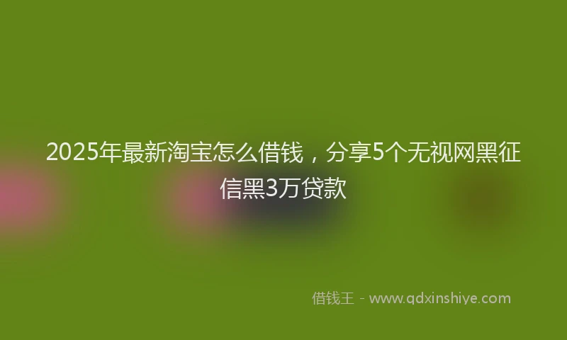 2025年最新淘宝怎么借钱，分享5个无视网黑征信黑3万贷款