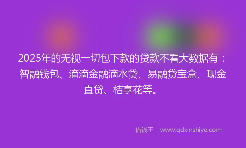 2025年的无视一切包下款的贷款不看大数据有：智融钱包、滴滴金融滴水贷、易融贷宝盒、现金直贷、桔享花等。