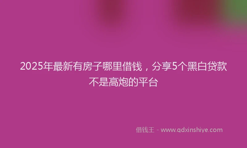 2025年最新有房子哪里借钱，分享5个黑白贷款不是高炮的平台