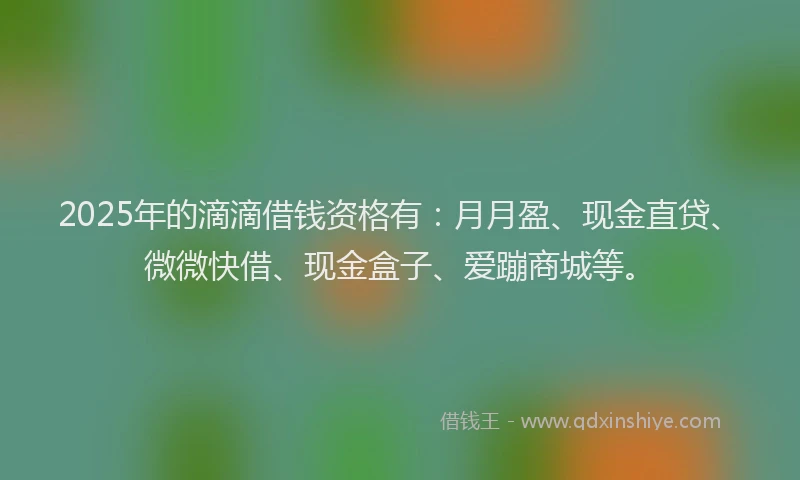 2025年的滴滴借钱资格有：月月盈、现金直贷、微微快借、现金盒子、爱蹦商城等。