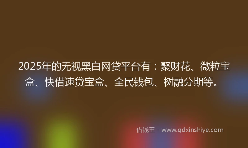 2025年的无视黑白网贷平台有：聚财花、微粒宝盒、快借速贷宝盒、全民钱包、树融分期等。
