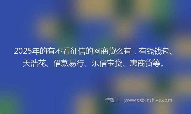 2025年的有不看征信的网商贷么有：有钱钱包、天浩花、借款易行、乐借宝贷、惠商贷等。