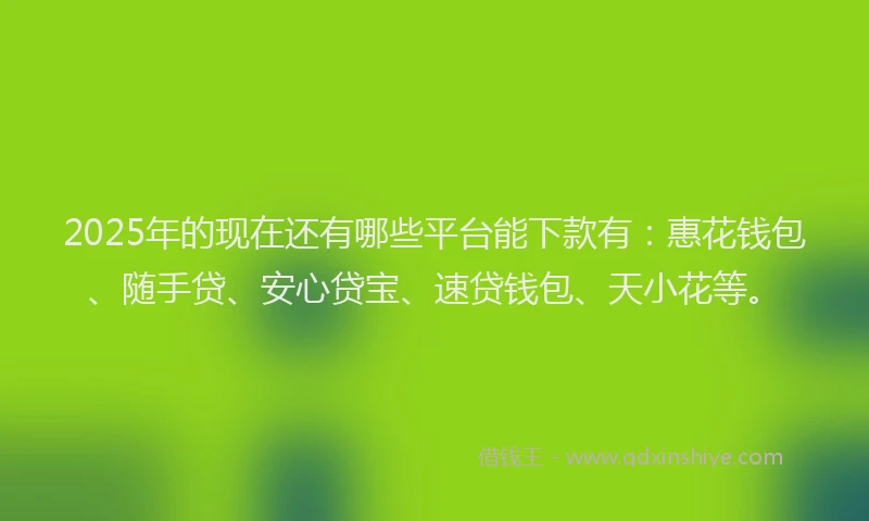 2025年的现在还有哪些平台能下款有：惠花钱包、随手贷、安心贷宝、速贷钱包、天小花等。