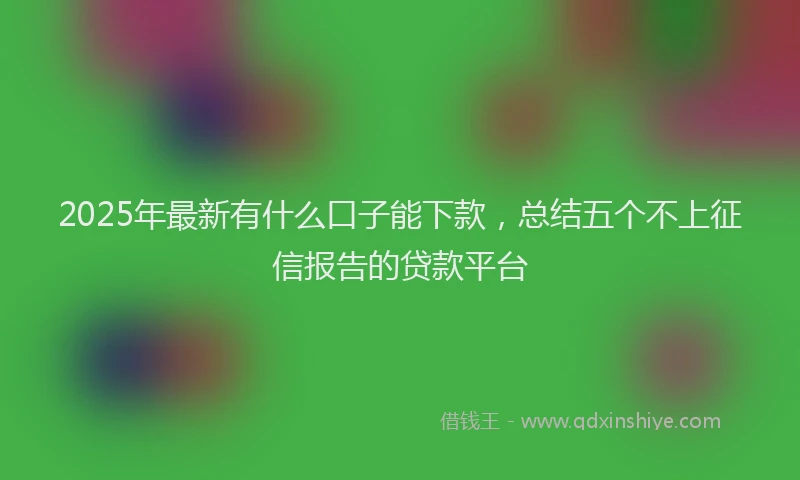 2025年最新有什么口子能下款，总结五个不上征信报告的贷款平台