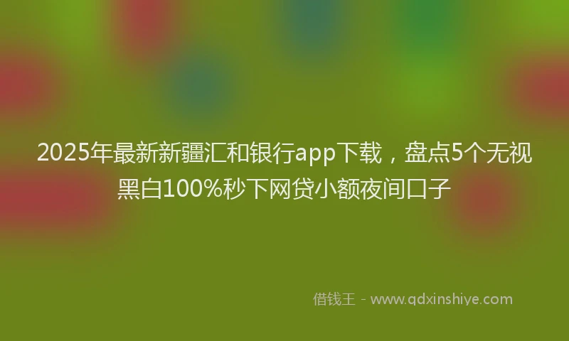 2025年最新新疆汇和银行app下载，盘点5个无视黑白100%秒下网贷小额夜间口子