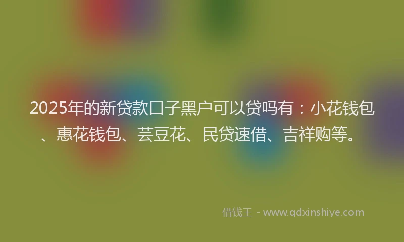 2025年的新贷款口子黑户可以贷吗有：小花钱包、惠花钱包、芸豆花、民贷速借、吉祥购等。