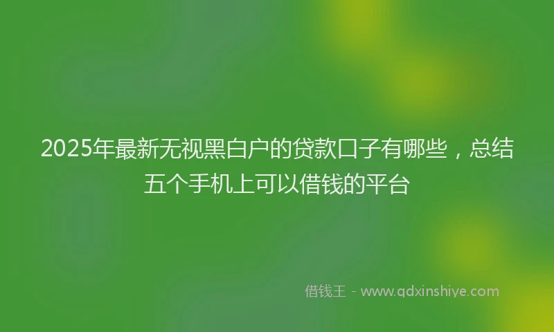 2025年最新无视黑白户的贷款口子有哪些，总结五个手机上可以借钱的平台