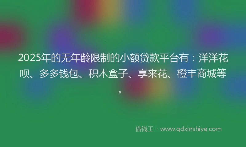 2025年的无年龄限制的小额贷款平台有：洋洋花呗、多多钱包、积木盒子、享来花、橙丰商城等。
