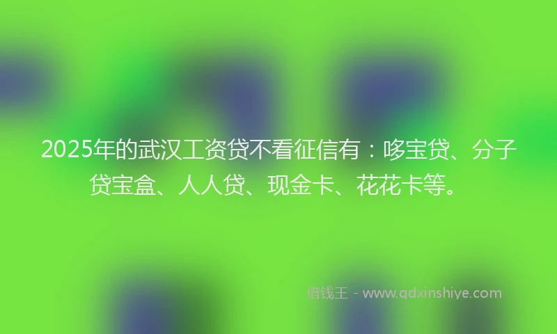 2025年的武汉工资贷不看征信有：哆宝贷、分子贷宝盒、人人贷、现金卡、花花卡等。