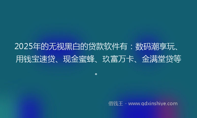 2025年的无视黑白的贷款软件有：数码潮享玩、用钱宝速贷、现金蜜蜂、玖富万卡、金满堂贷等。