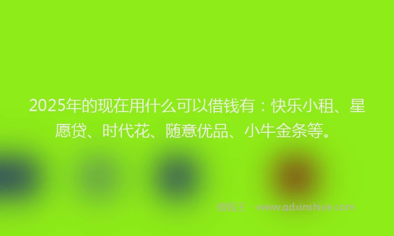 2025年的现在用什么可以借钱有：快乐小租、星愿贷、时代花、随意优品、小牛金条等。