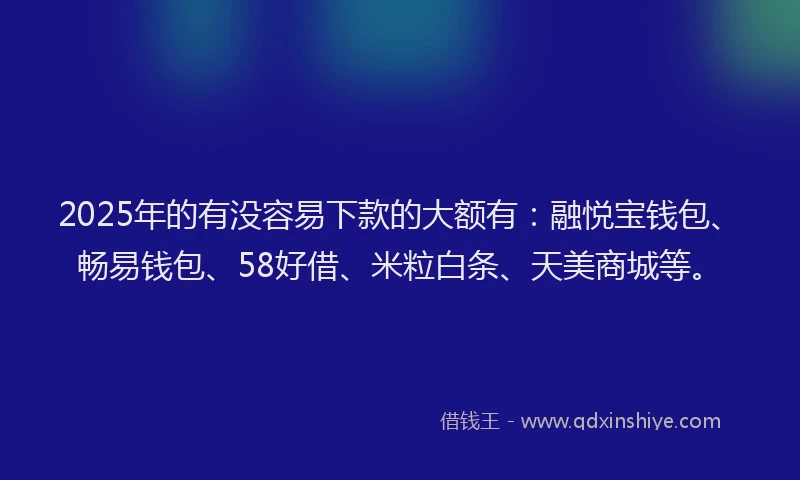 2025年的有没容易下款的大额有：融悦宝钱包、畅易钱包、58好借、米粒白条、天美商城等。