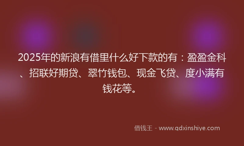 2025年的新浪有借里什么好下款的有：盈盈金科、招联好期贷、翠竹钱包、现金飞贷、度小满有钱花等。