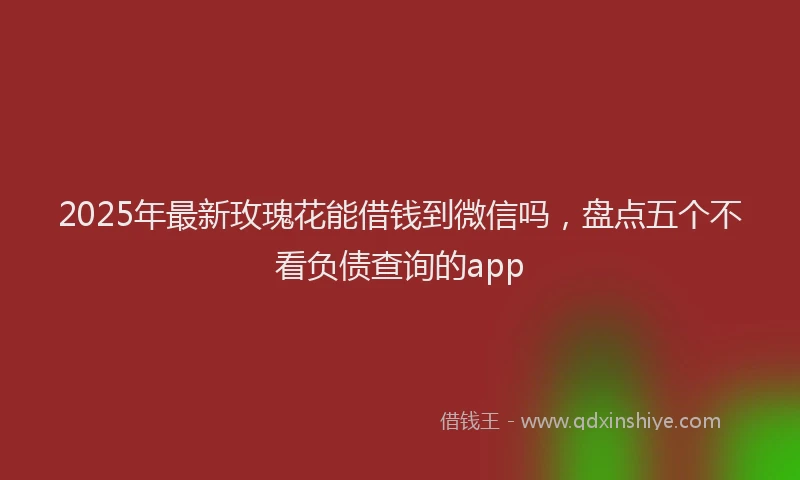 2025年最新玫瑰花能借钱到微信吗，盘点五个不看负债查询的app