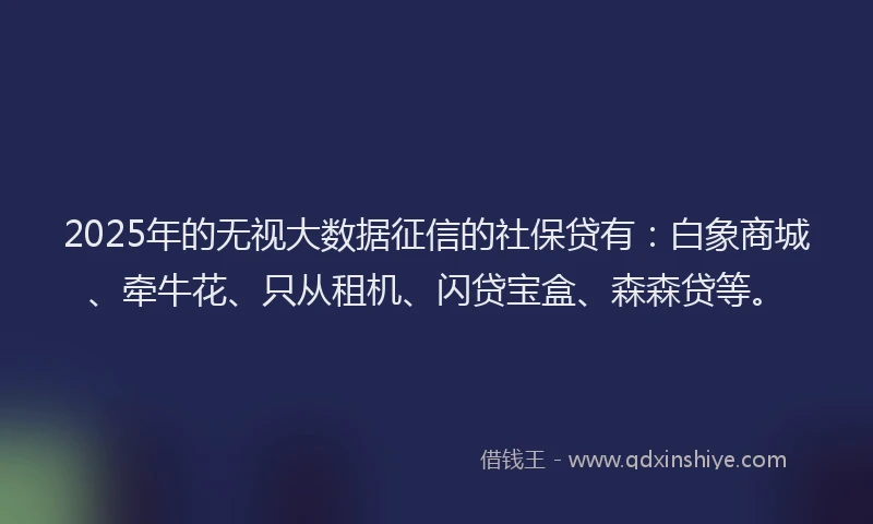 2025年的无视大数据征信的社保贷有：白象商城、牵牛花、只从租机、闪贷宝盒、森森贷等。