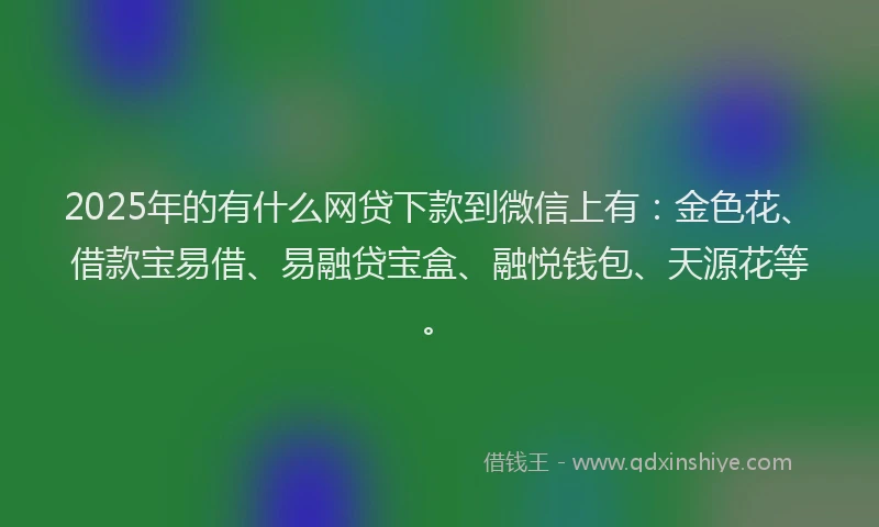 2025年的有什么网贷下款到微信上有：金色花、借款宝易借、易融贷宝盒、融悦钱包、天源花等。