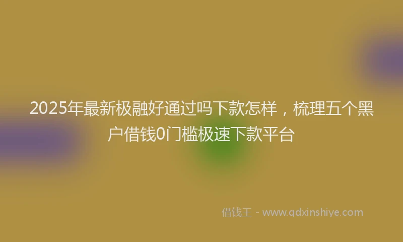 2025年最新极融好通过吗下款怎样，梳理五个黑户借钱0门槛极速下款平台