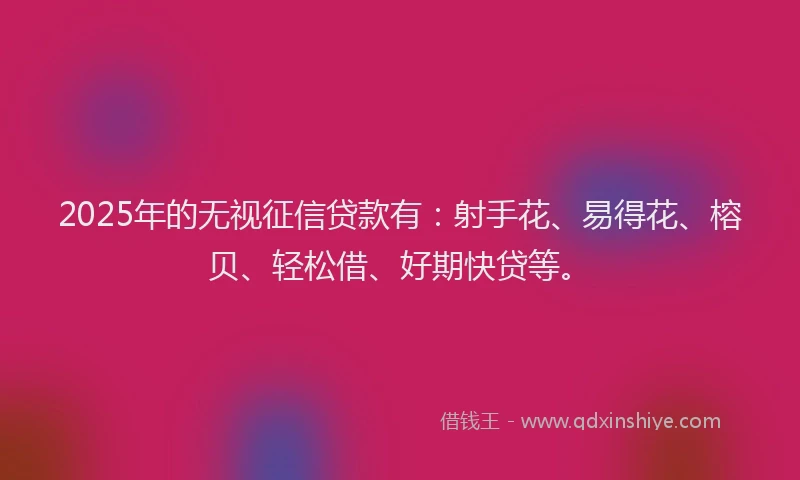2025年的无视征信贷款有：射手花、易得花、榕贝、轻松借、好期快贷等。