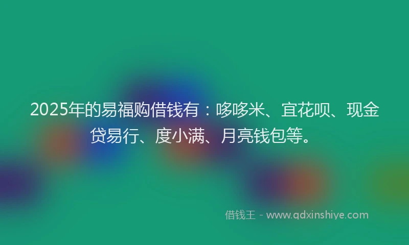 2025年的易福购借钱有：哆哆米、宜花呗、现金贷易行、度小满、月亮钱包等。