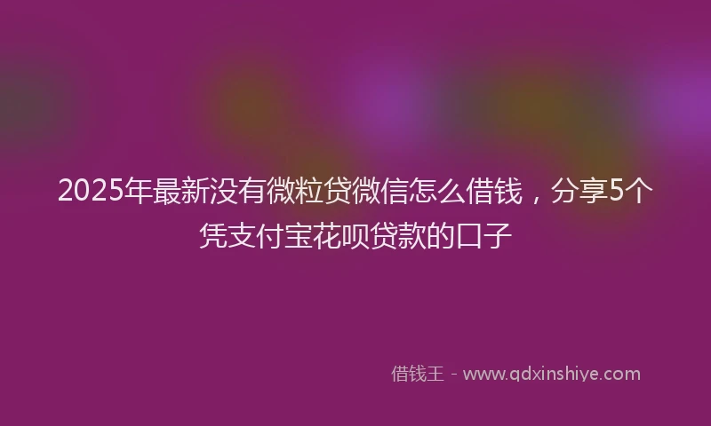 2025年最新没有微粒贷微信怎么借钱，分享5个凭支付宝花呗贷款的口子