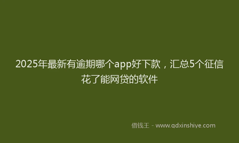 2025年最新有逾期哪个app好下款，汇总5个征信花了能网贷的软件