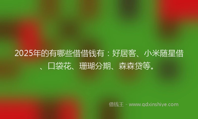 2025年的有哪些借借钱有：好居客、小米随星借、口袋花、珊瑚分期、森森贷等。
