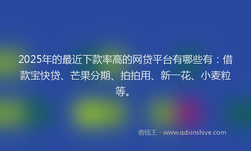2025年的最近下款率高的网贷平台有哪些有：借款宝快贷、芒果分期、拍拍用、新一花、小麦粒等。