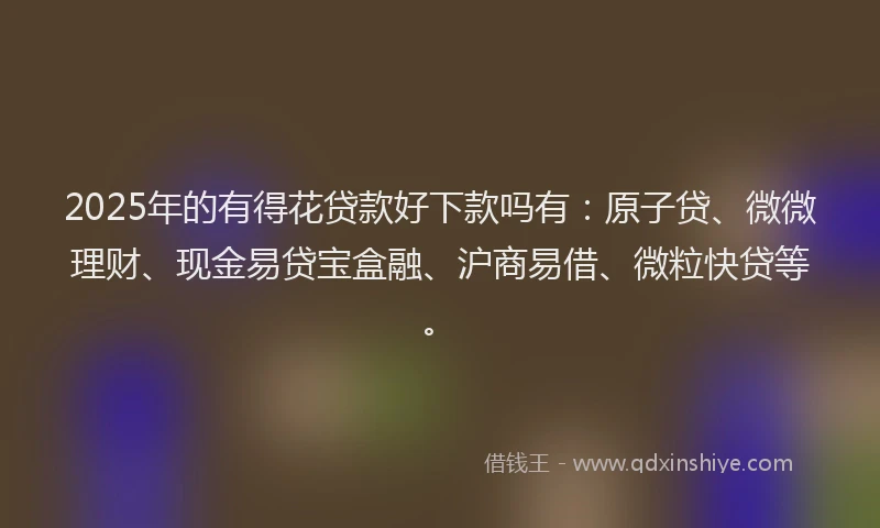 2025年的有得花贷款好下款吗有：原子贷、微微理财、现金易贷宝盒融、沪商易借、微粒快贷等。