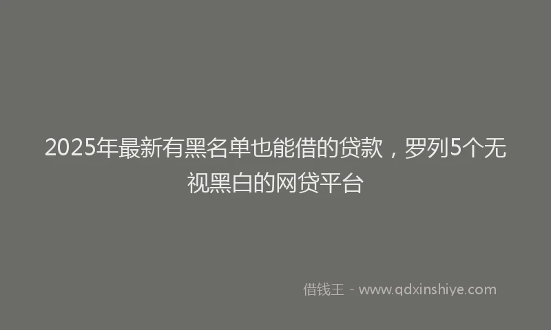 2025年最新有黑名单也能借的贷款，罗列5个无视黑白的网贷平台