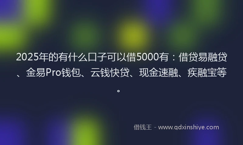 2025年的有什么口子可以借5000有：借贷易融贷、金易Pro钱包、云钱快贷、现金速融、疾融宝等。
