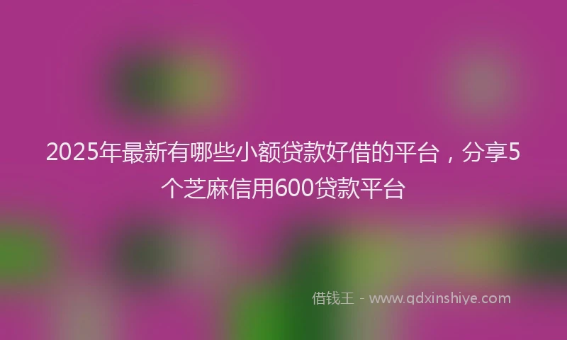 2025年最新有哪些小额贷款好借的平台，分享5个芝麻信用600贷款平台