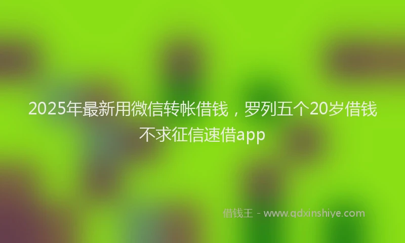 2025年最新用微信转帐借钱，罗列五个20岁借钱不求征信速借app