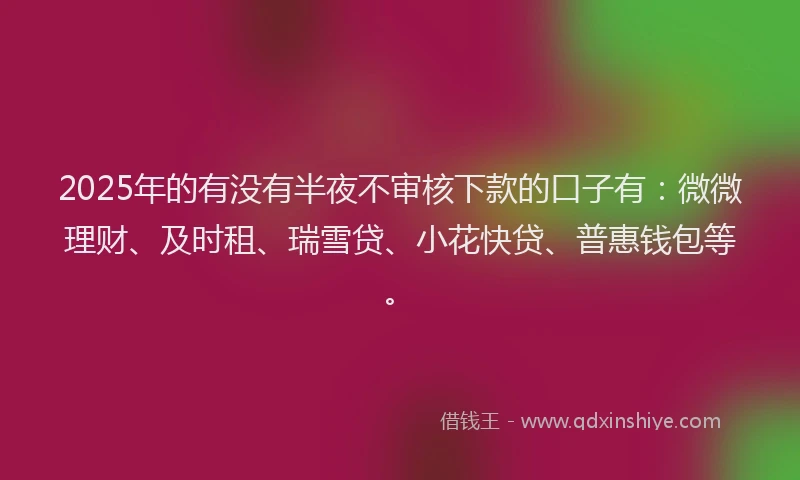 2025年的有没有半夜不审核下款的口子有：微微理财、及时租、瑞雪贷、小花快贷、普惠钱包等。