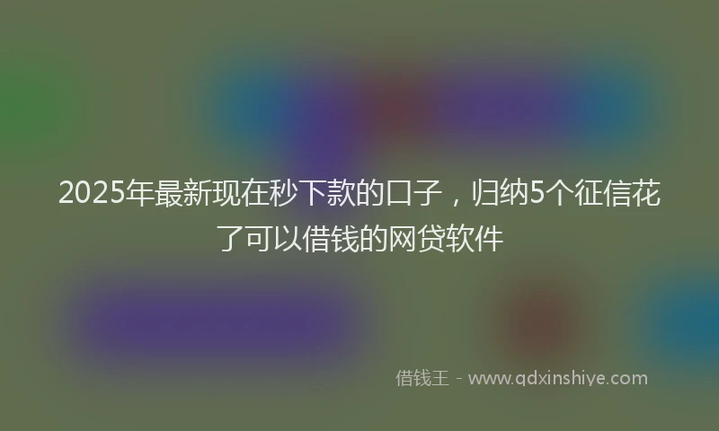 2025年最新现在秒下款的口子，归纳5个征信花了可以借钱的网贷软件