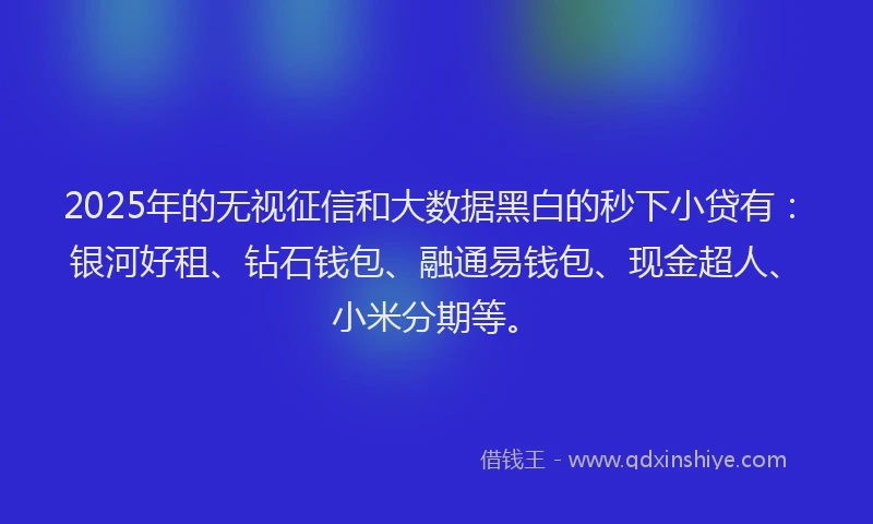 2025年的无视征信和大数据黑白的秒下小贷有：银河好租、钻石钱包、融通易钱包、现金超人、小米分期等。