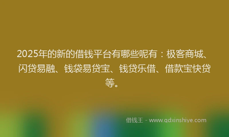 2025年的新的借钱平台有哪些呢有：极客商城、闪贷易融、钱袋易贷宝、钱贷乐借、借款宝快贷等。