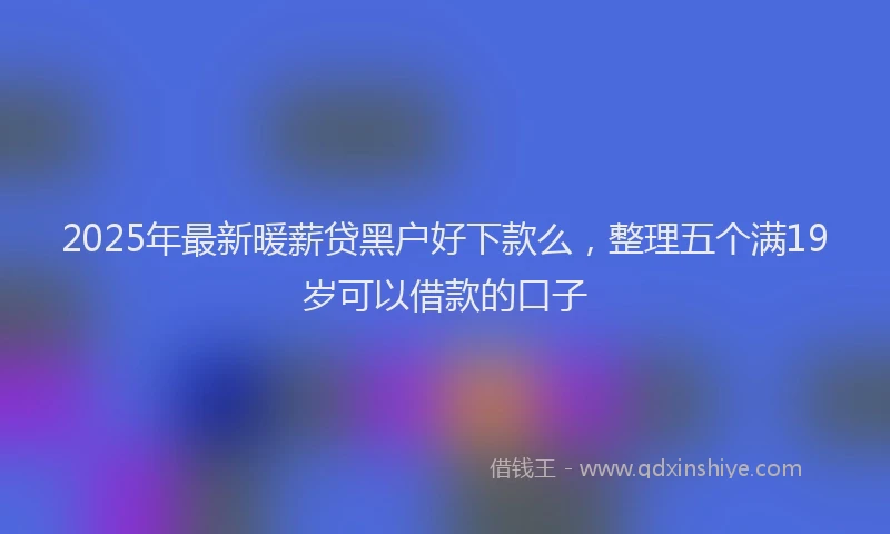 2025年最新暖薪贷黑户好下款么，整理五个满19岁可以借款的口子