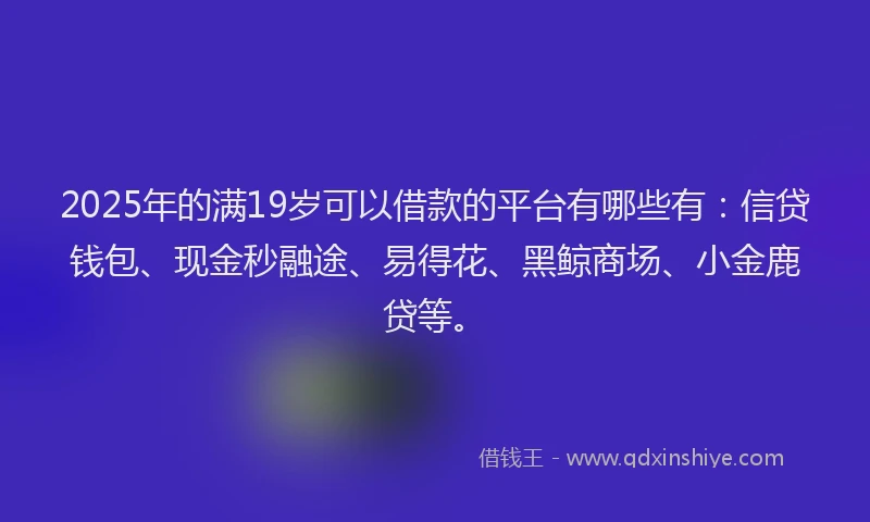 2025年的满19岁可以借款的平台有哪些有：信贷钱包、现金秒融途、易得花、黑鲸商场、小金鹿贷等。