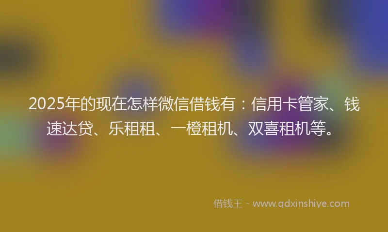 2025年的现在怎样微信借钱有：信用卡管家、钱速达贷、乐租租、一橙租机、双喜租机等。