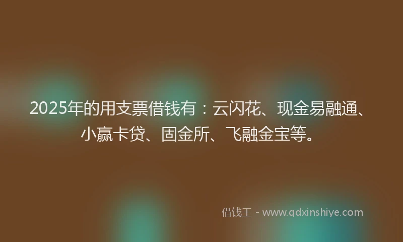 2025年的用支票借钱有：云闪花、现金易融通、小赢卡贷、固金所、飞融金宝等。