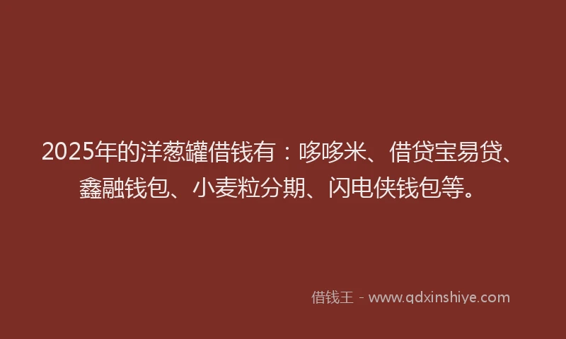 2025年的洋葱罐借钱有：哆哆米、借贷宝易贷、鑫融钱包、小麦粒分期、闪电侠钱包等。