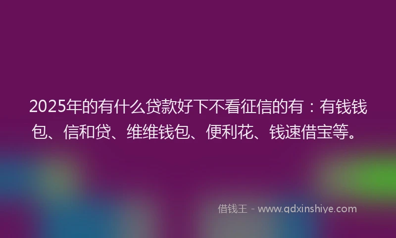 2025年的有什么贷款好下不看征信的有：有钱钱包、信和贷、维维钱包、便利花、钱速借宝等。