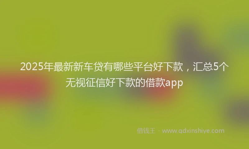 2025年最新新车贷有哪些平台好下款，汇总5个无视征信好下款的借款app