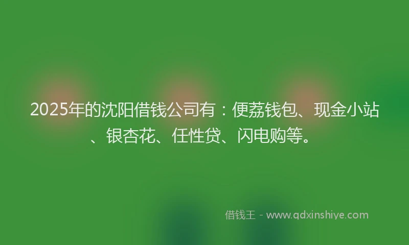 2025年的沈阳借钱公司有：便荔钱包、现金小站、银杏花、任性贷、闪电购等。