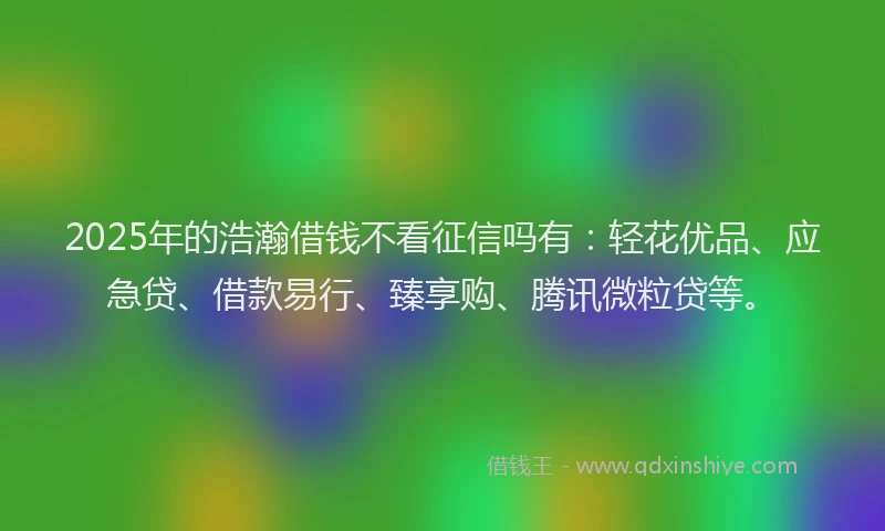 2025年的浩瀚借钱不看征信吗有：轻花优品、应急贷、借款易行、臻享购、腾讯微粒贷等。