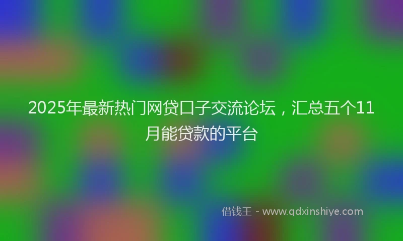 2025年最新热门网贷口子交流论坛，汇总五个11月能贷款的平台