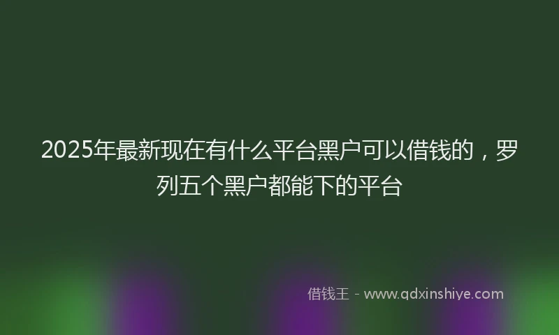 2025年最新现在有什么平台黑户可以借钱的，罗列五个黑户都能下的平台