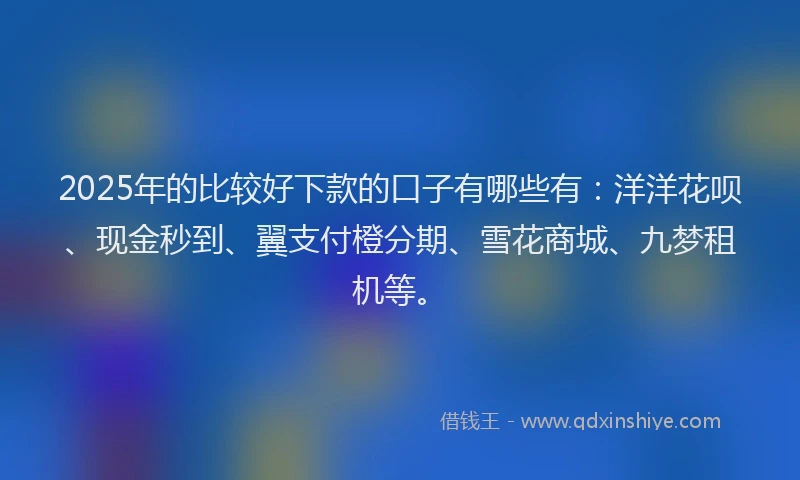 2025年的比较好下款的口子有哪些有：洋洋花呗、现金秒到、翼支付橙分期、雪花商城、九梦租机等。